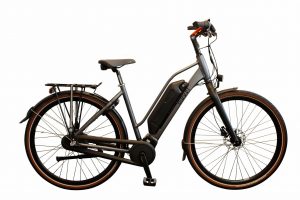 Bikkel Ibee Stenza