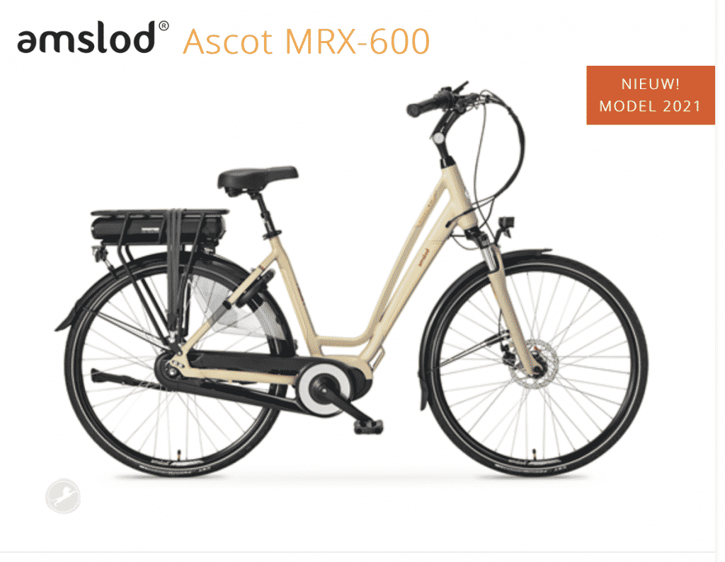 Amslod Ascot prijs