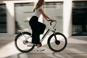 elektrische fiets motor
